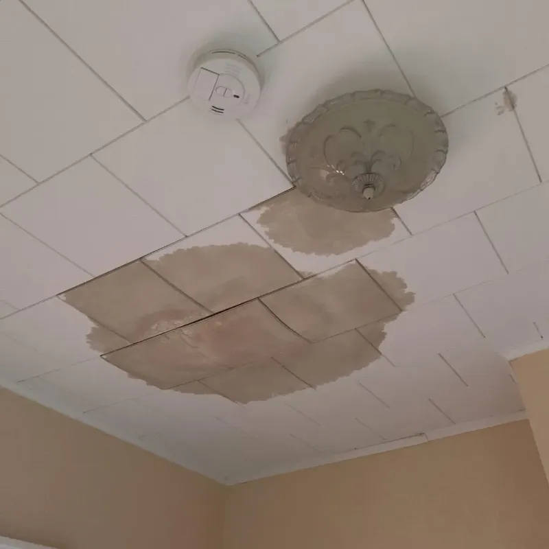 Ceiling Water Damage Repair in Ottawa, OH