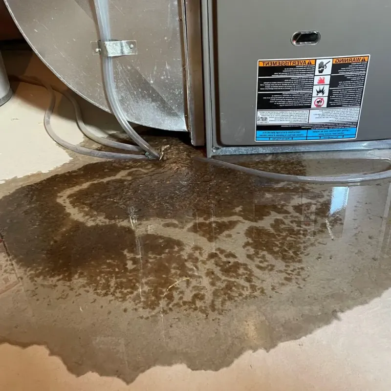 Pipe Burst and Leak Restoration in Ottawa, OH